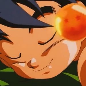 Meet your Posher, Owel